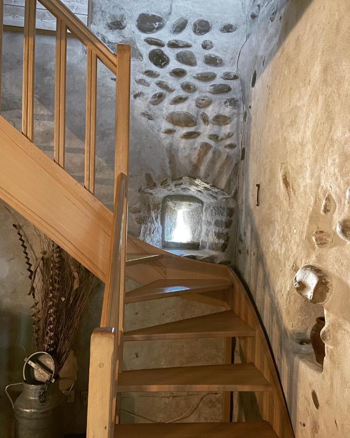 Chateau De La Saone Lens-Lestang Εξωτερικό φωτογραφία
