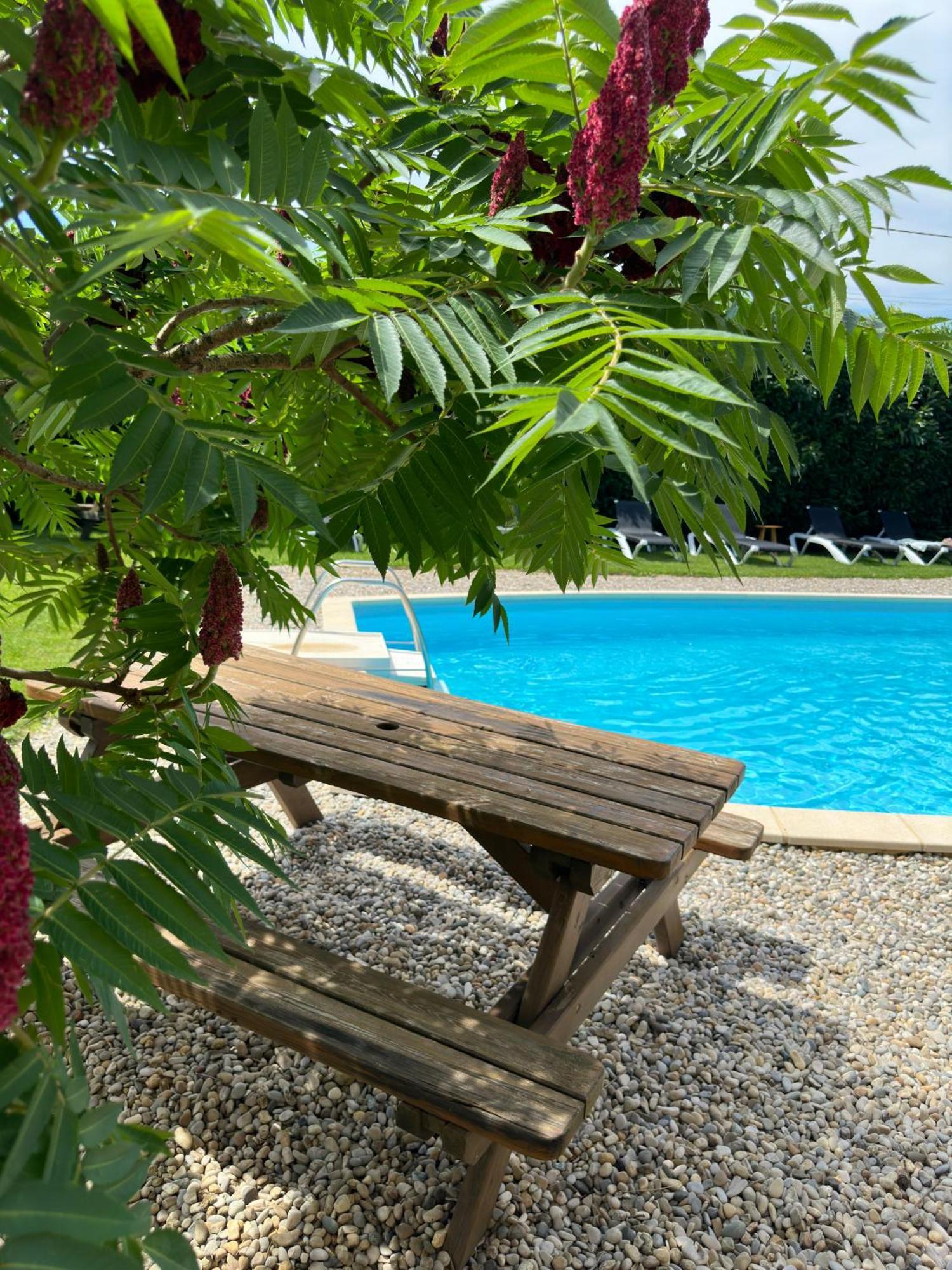 Chateau De La Saone Lens-Lestang Εξωτερικό φωτογραφία